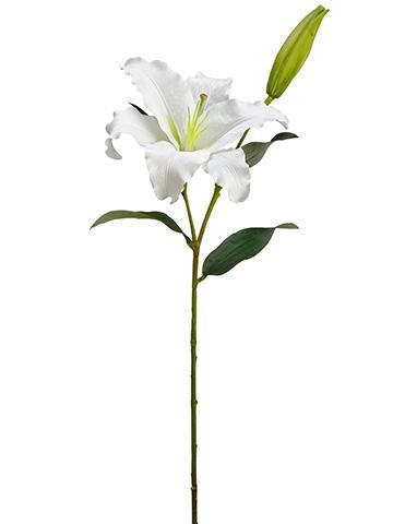 36" CASABLANCA LILY SPRAY STEM W/ 1 FLOWE &amp; 1 BUD WHITE
