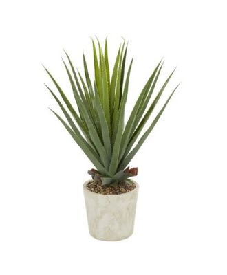 AGAVE PLANT IN CERAMIC POT