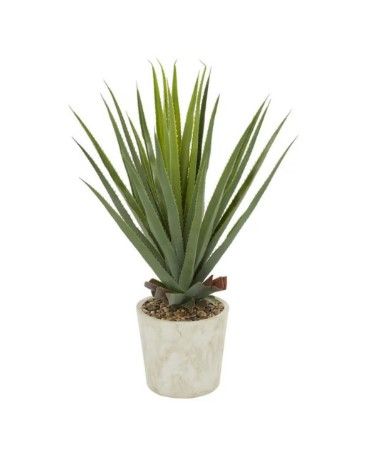AGAVE PLANT IN CERAMIC POT