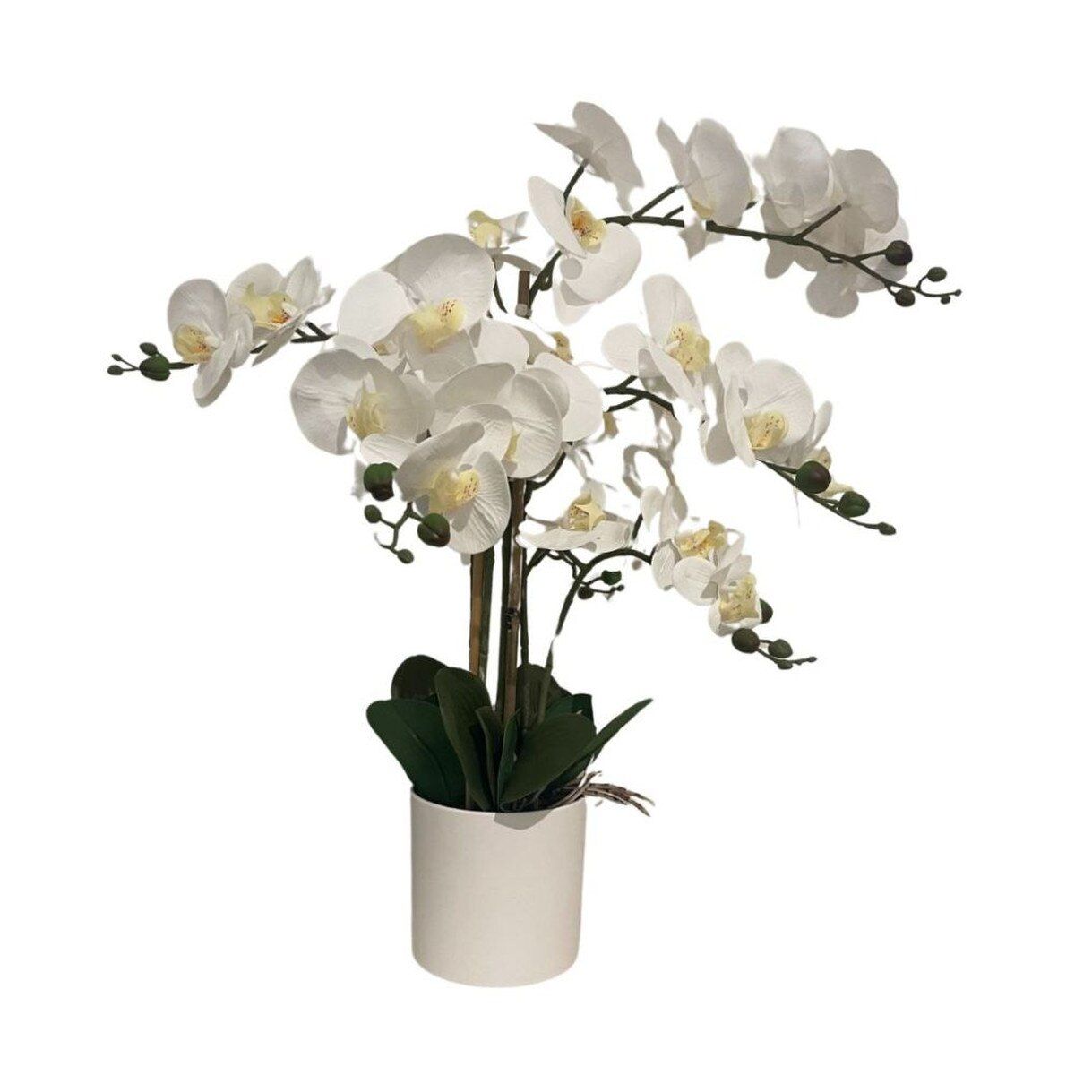 ORCHID DROP-IN W/ POT, 26