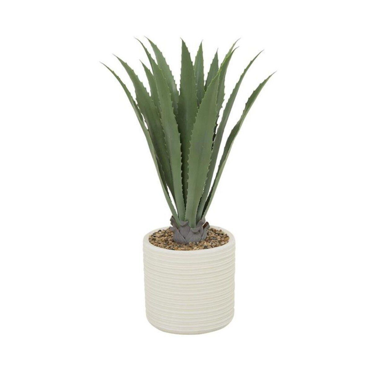 ALOE PLANT IN RIBBED POT