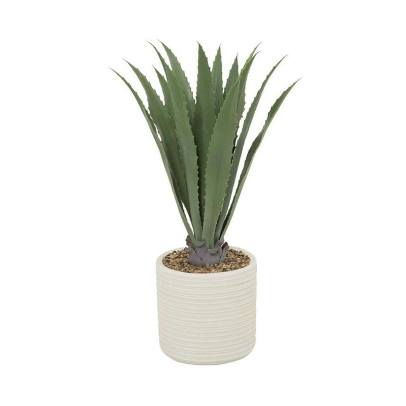 ALOE PLANT IN RIBBED POT