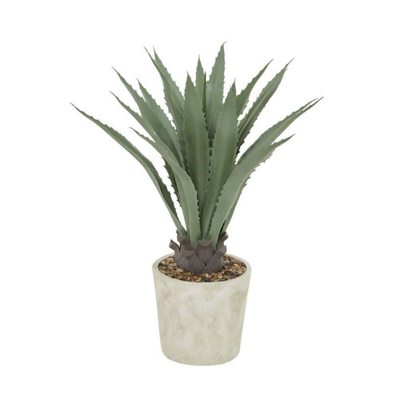 AGAVE PLANT IN CERAMIC POT