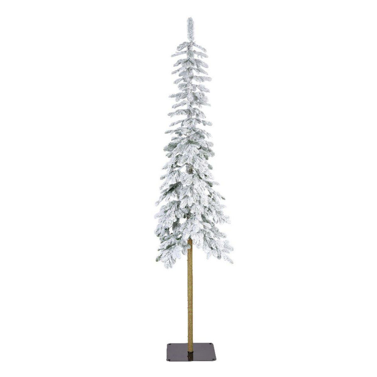 ALPINE SNOWY FIR, LARGE