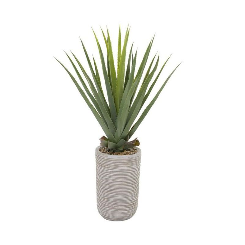 AGAVE PLANT IN RIBBED POT