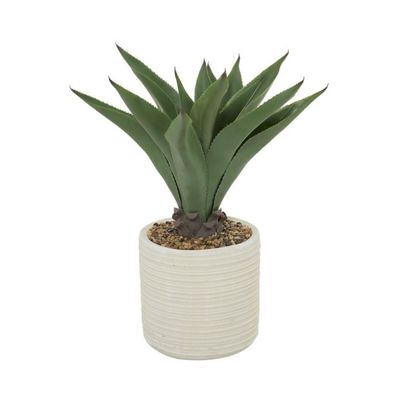 AGAVE PLANT IN RIBBED POT