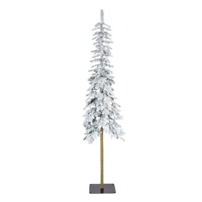ALPINE SNOWY FIR, MEDIUM
