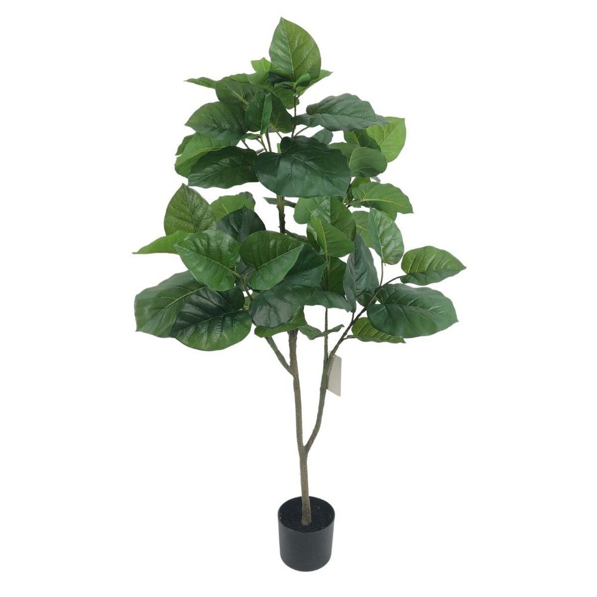 BANYAN TREE, 53"