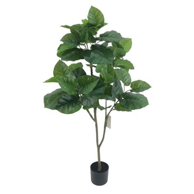 BANYAN TREE, 53"