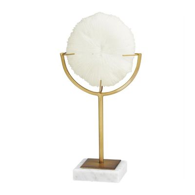 CORAL ON MARBLE STAND