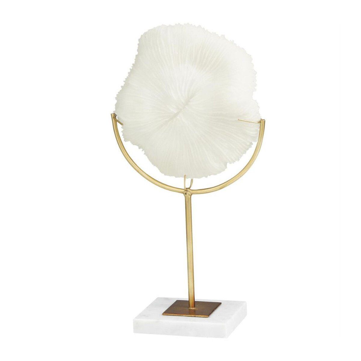CORAL ON MARBLE STAND