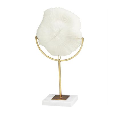 CORAL ON MARBLE STAND