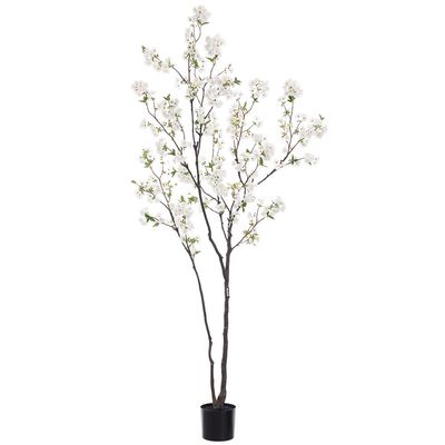 94.5" CHERRY BLOSSOM TREE IN PLASTIC POT