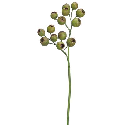 19" EUCALYPTUS POD SPRAY GREEN