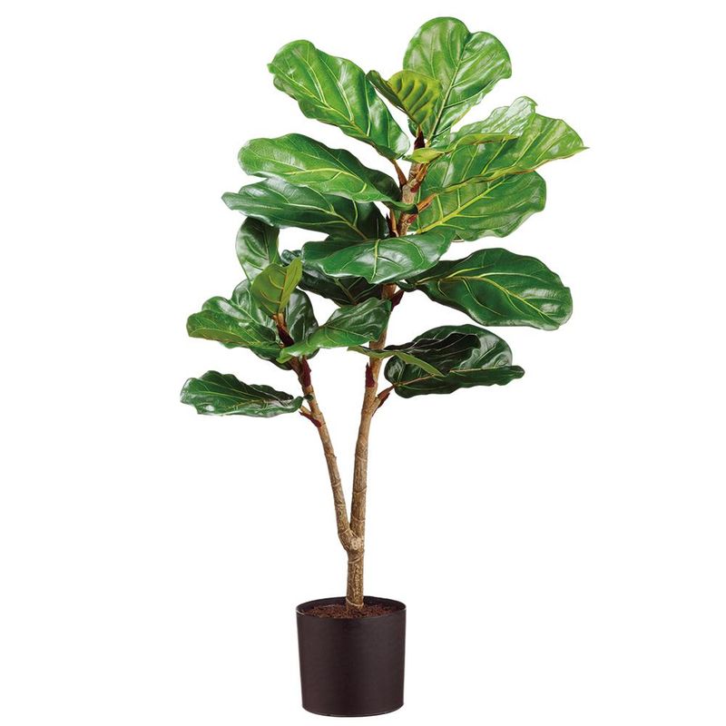 40" FIDDLE LEAF PLANT IN PLASTIC POT