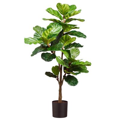 56" FIDDLE LEAF PLANT IN PLASTIC POT