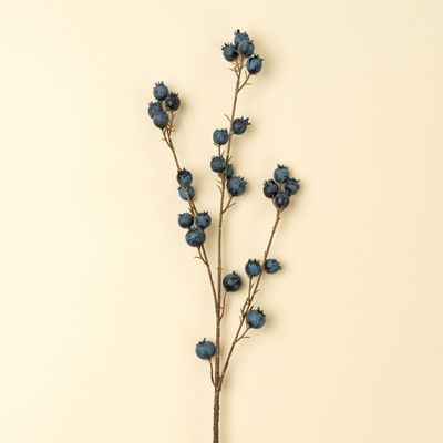 BLUEBERRY BRANCH
