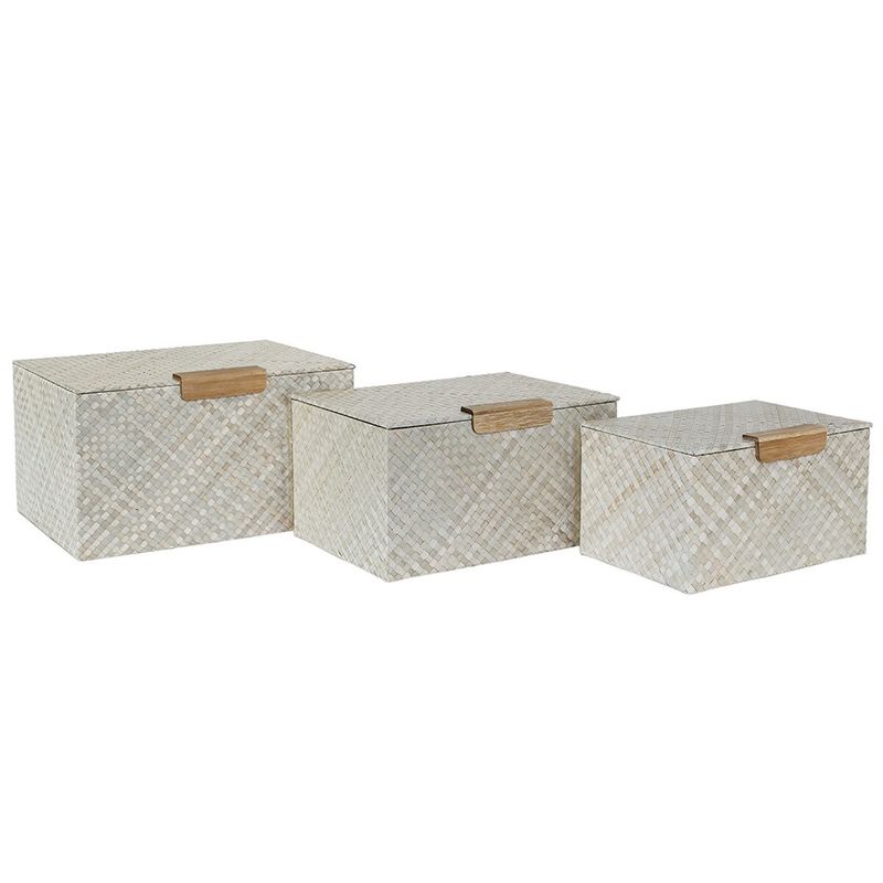 PAULA BOX