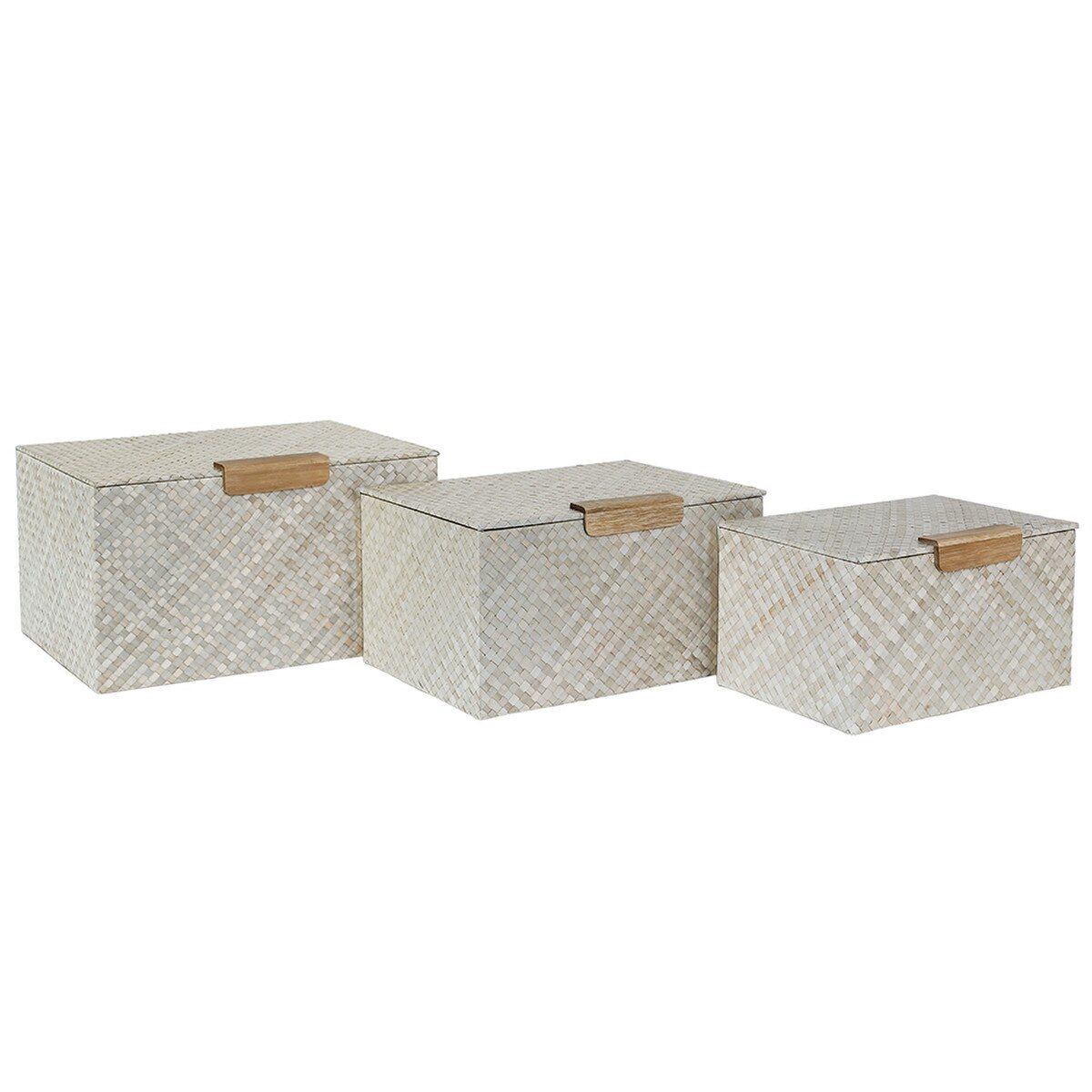 PAULA BOX, Size: LARGE