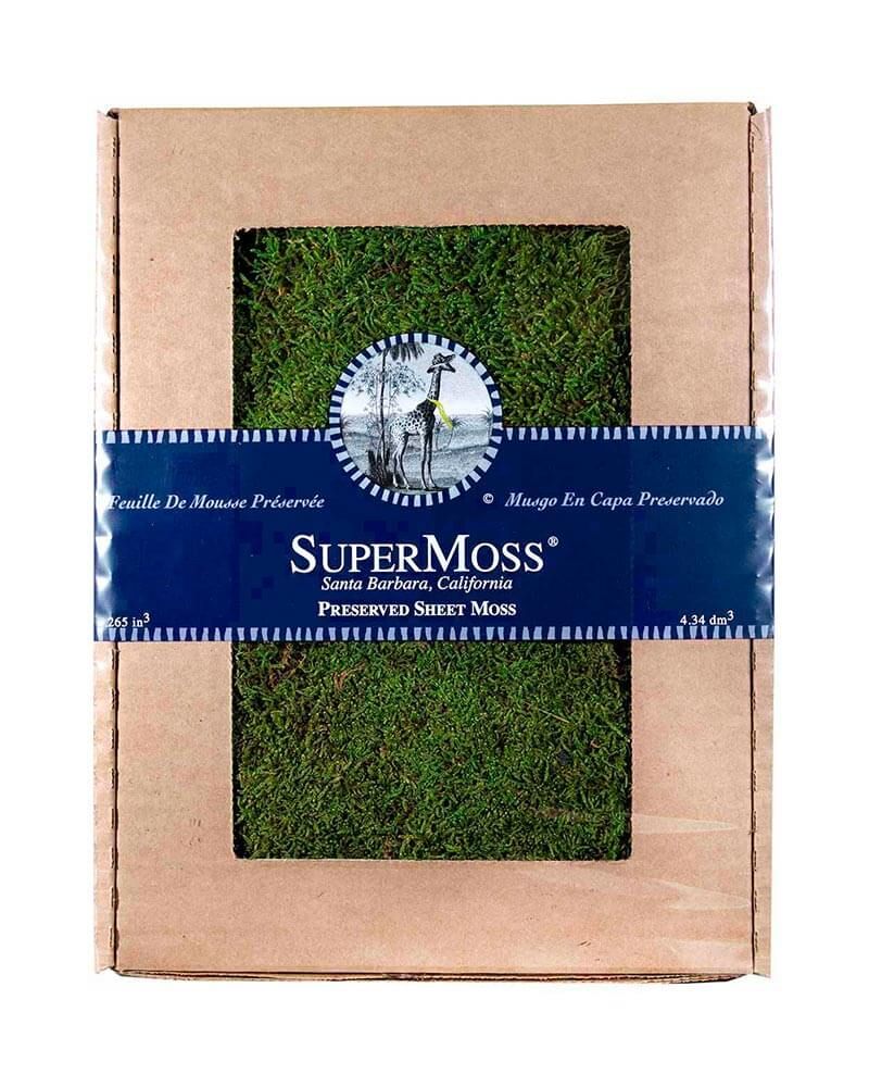 PRESERVED SHEET MOSS - GREEN