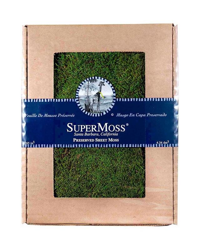 PRESERVED SHEET MOSS - GREEN