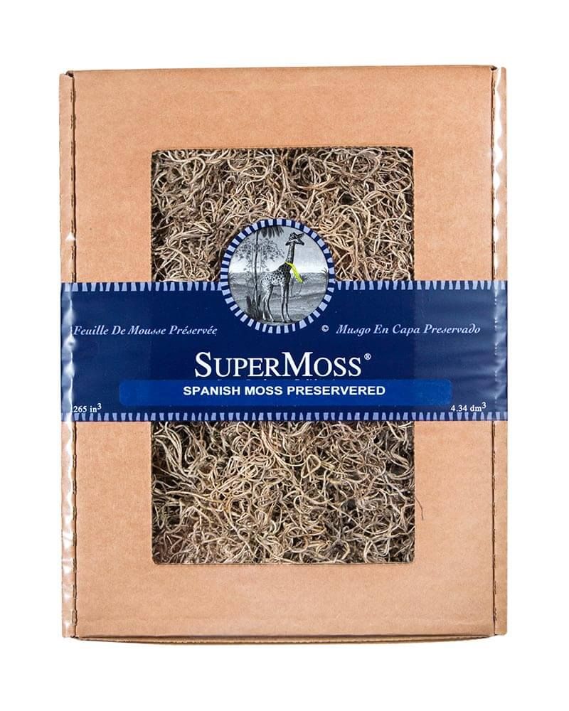 PRESERVED SPANISH MOSS - NATURAL