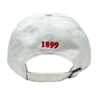 47 CLEAN UP HAT SAC SHIELD