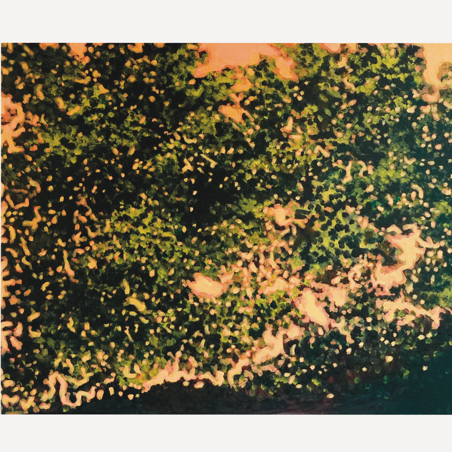 Wild Abundance 02