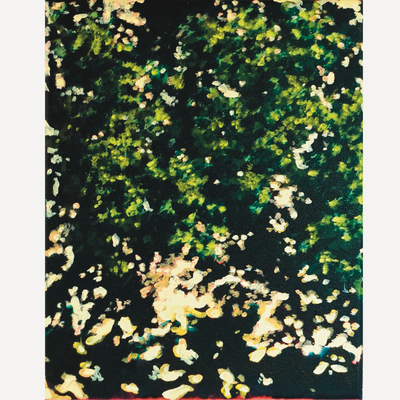 Wild Abundance 01