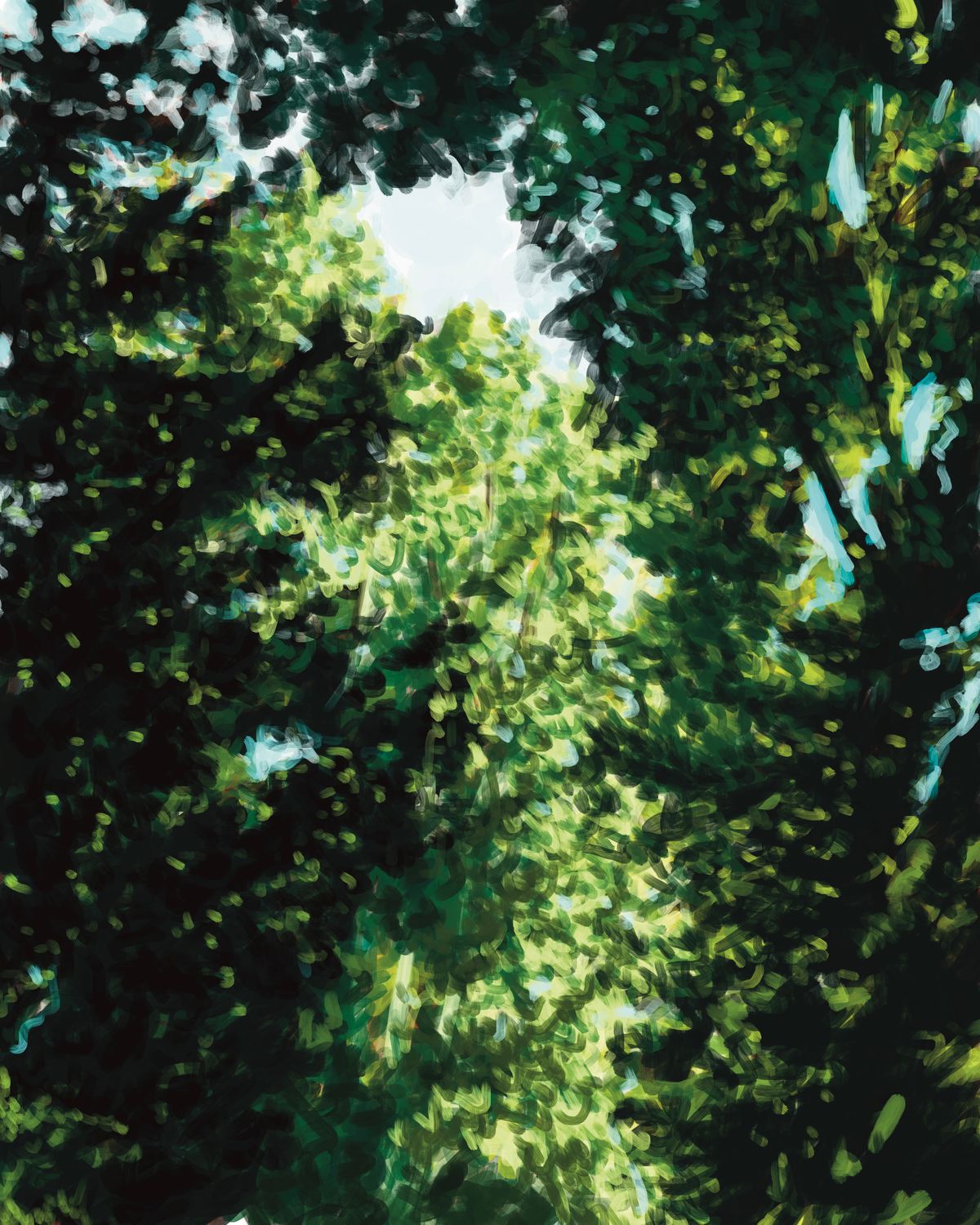 Summer Trees I Giclée Print