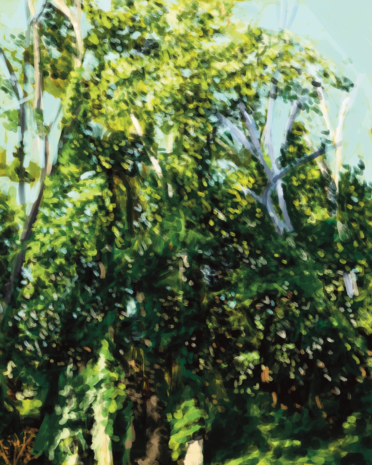 Summer Trees II Giclée Print