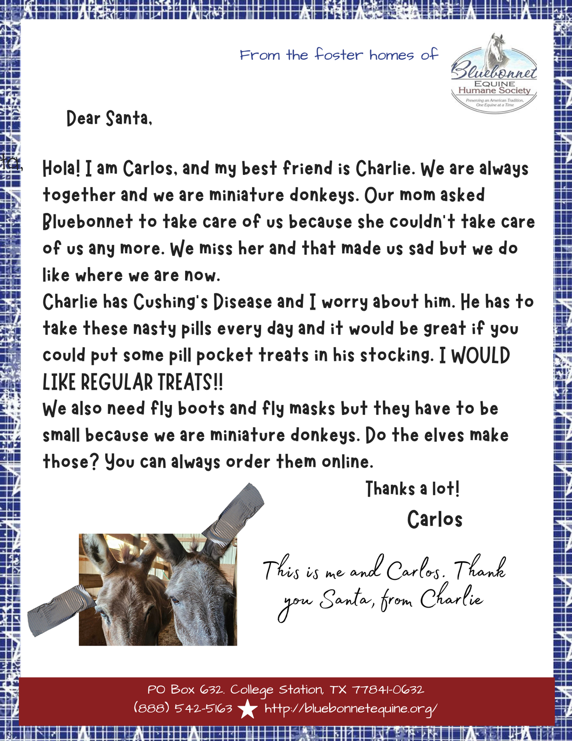 HEALTH NEEDS FOR CHARLIE AND CARLOS