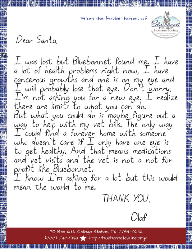 HEALTH NEEDS FOR OLAF