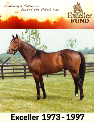 THE EXCELLER FUND