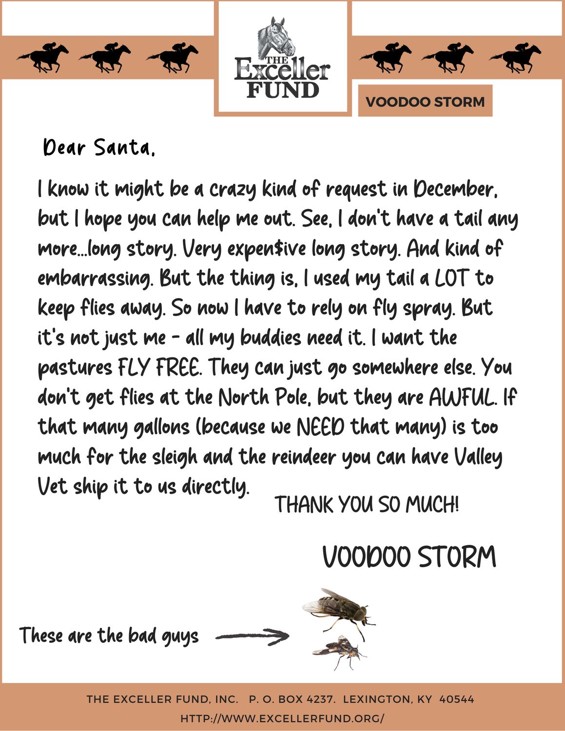 FLY SPRAY FOR VOODOO STORM