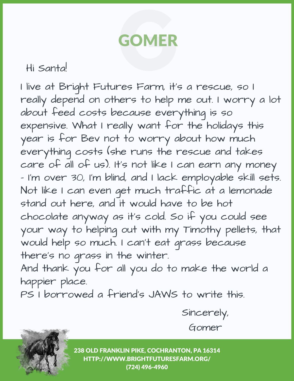 TIMOTHY PELLETS FOR GOMER