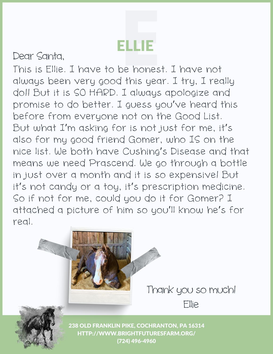 PRASCEND FOR ELLIE