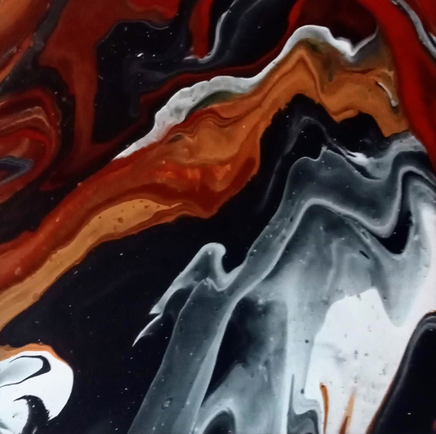 Volutes