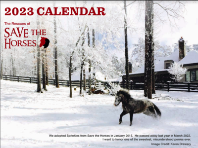 save the horses 2023 calendar