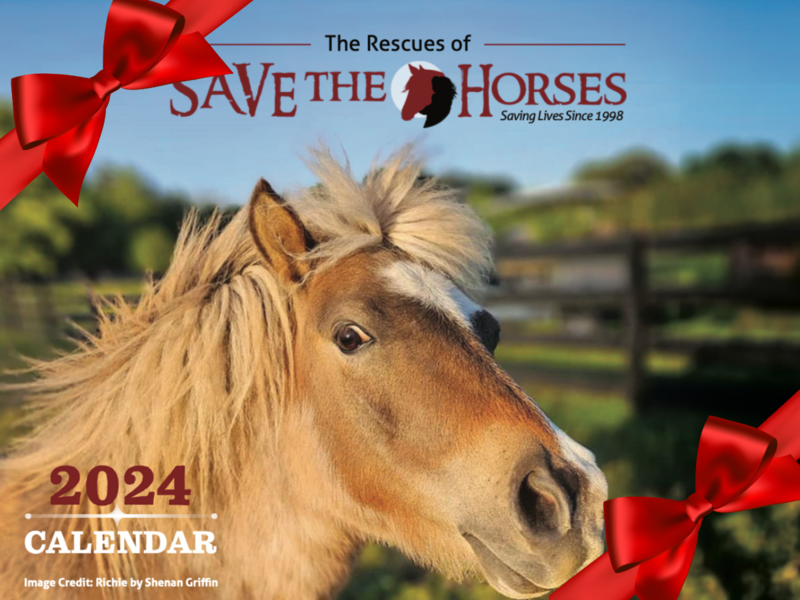 Save the Horses 2024 Calendar