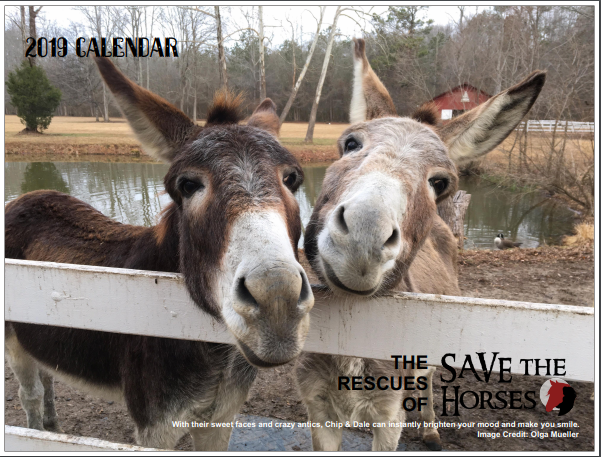 Save the Horses 2019 Rescue Calendar