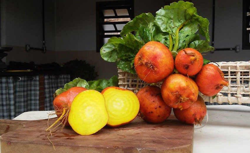 Laranjas
