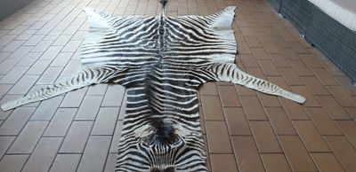 A Grade Zebra Hide 567 (S)