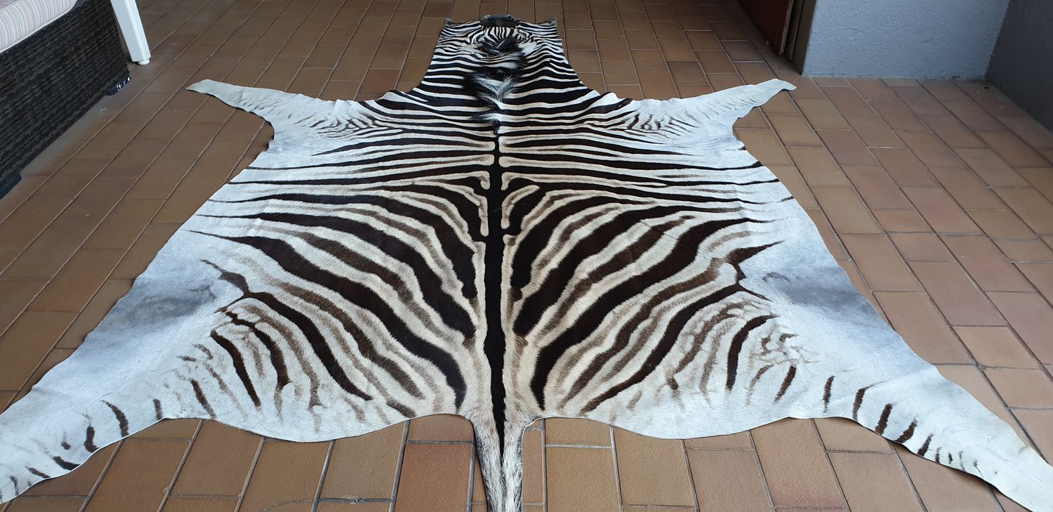 A Grade Zebra Hide 569 (L)