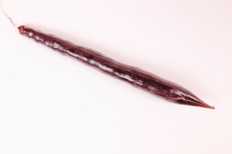 Standard Churchkhela Dark