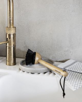 Dish Brush, Nature