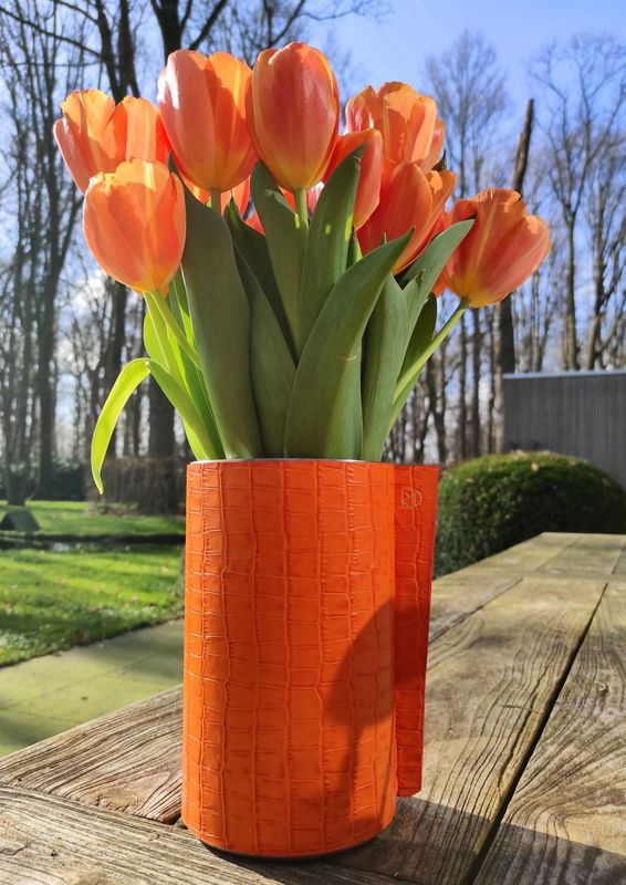 ijsemmer oranje leder