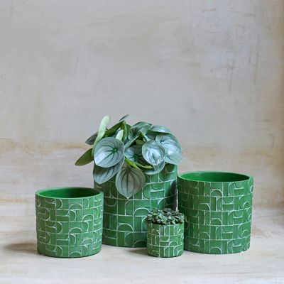 Minipot D12.5 Metric grasgroen