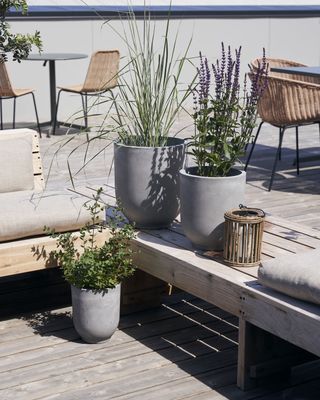 Planter gard set van 3