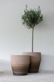 Pot Cinnamon zw.bruin S/2 D40